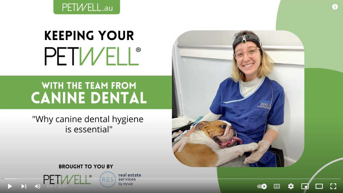 Resource video - canine dental hygiene